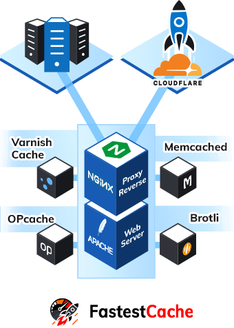 Schema_Fastest_Cache Fastest Cache
