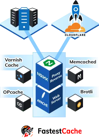 Schema_Fastest_Cache Fastest Cache