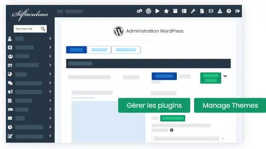 Mister Hosting wordpress manager Mister Hosting Joomla